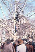 19770327philippe_petit_06_thumb.png