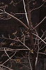 1stAve02_thumb.png
