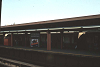 brooklyn008_thumb.png