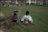 washingtonSq007_thumb.png