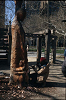 washingtonSq008_thumb.png