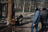 washingtonSq009_thumb.png