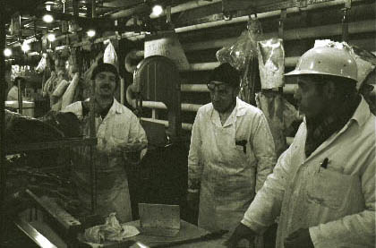 meat021.jpg
