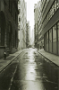 nyphoto085_thumb.png