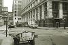 nyphoto117_thumb.png