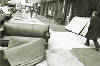 nyphoto120_thumb.png