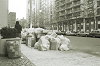 nyphoto127_thumb.png