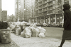 nyphoto128_thumb.png