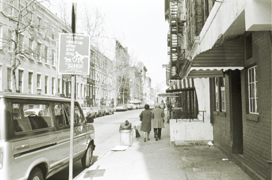 nyphoto166.jpg