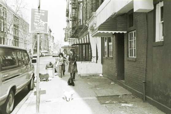 nyphoto171.jpg