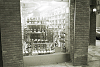 nyphoto180_thumb.png