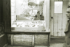 nyphoto181_thumb.png
