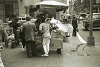 nyphoto206_thumb.png