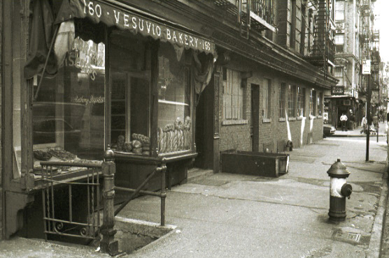 nyphoto215.jpg