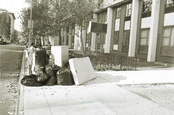 nyuhousing131.jpg