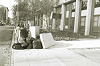 nyuhousing131_thumb.png
